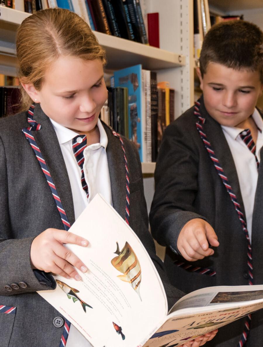 benefits of AS and A level Studies