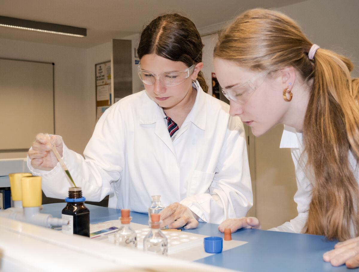 como elegir el colegio privado en Pozuelo