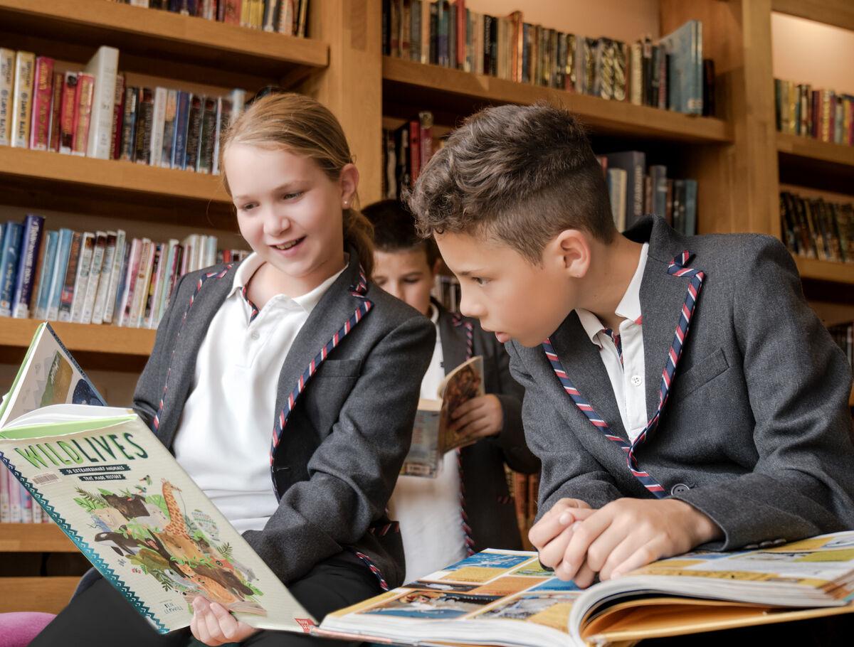 Colegio de Primaria con profesores nativos en Madrid