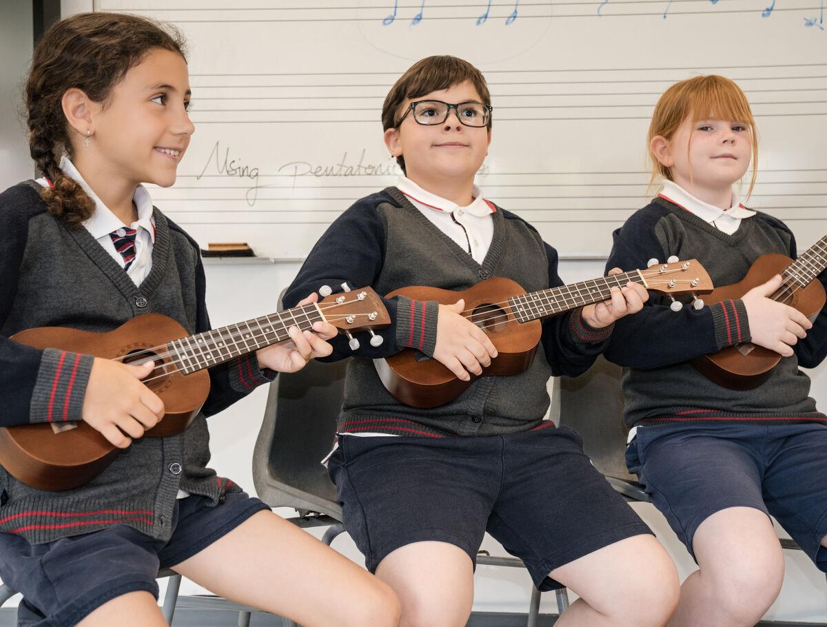 Los colegios de Primaria en Madrid ofrecen música?